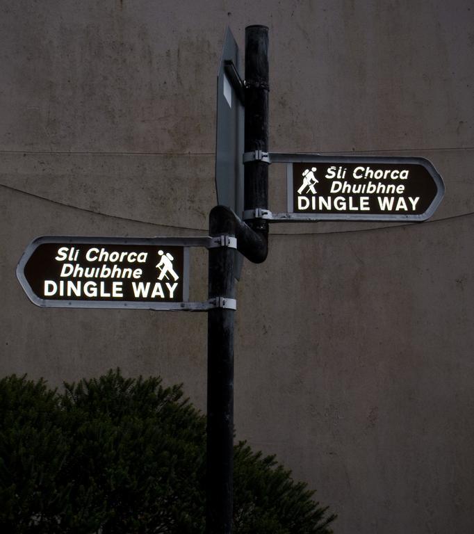 The Dingle Pub Rooms Luaran gambar